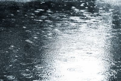 Protects Against Weathering!